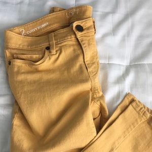 Mustard LOFT SZ 2 Curvy Skinny Jeans